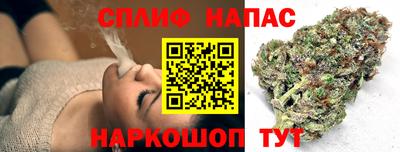 МДПВ Тара