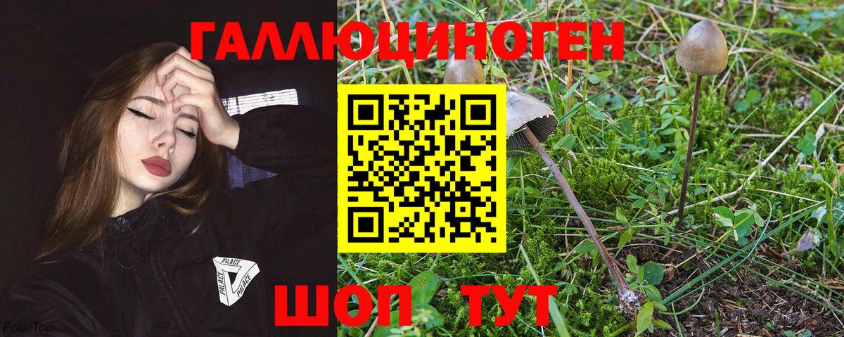 Галлюциногенные грибы GOLDEN TEACHER Новочебоксарск